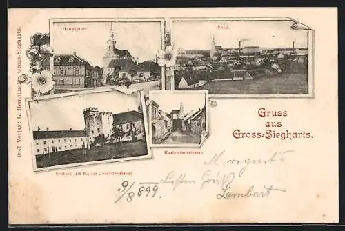 AK Gross-Siegharts, Schloss mit Kaiser Josef-Denkmal, Karlsteinerstrasse, Hauptplatz