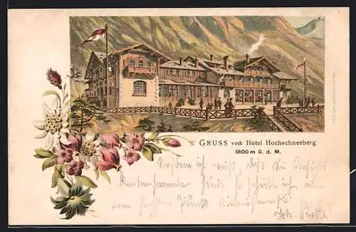 Lithographie Puchberg am Schneeberg, Hotel Hochschneeberg, Edelweiss