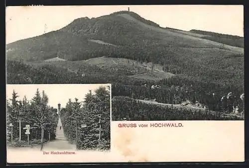 AK Oybin, Panoramablick, Der Hochwaldturm