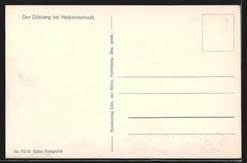 AK Neckarsteinach, Ortsansicht auf dem Dilsberg