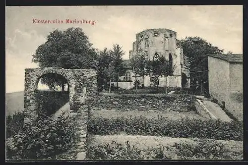 AK Marienburg / Mosel, Partie an der Klosterruine