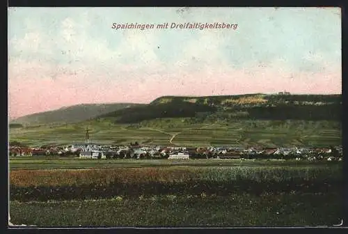 AK Spaichingen, Ortsansicht mit Dreifaltigkeitsberg