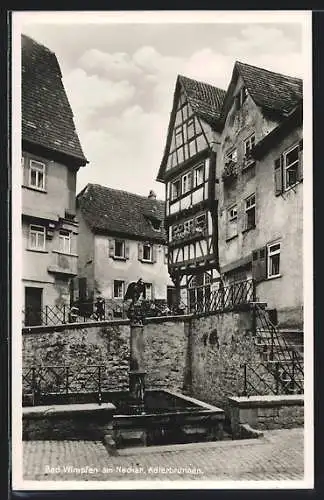 AK Bad Wimpfen, Adlerbrunnen