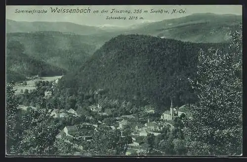Mondschein-AK Weissenbach an der Triesting, Ortsansicht mit Schneeberg aus der Vogelschau