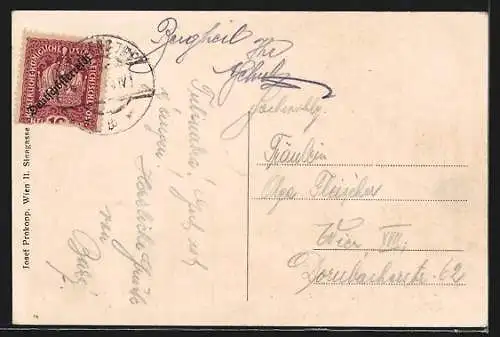 Künstler-AK Willendorf a. d. Schneebergbahn, Ortsansicht aus der Vogelschau