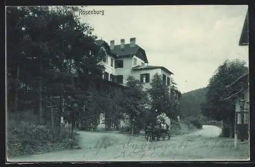 AK Rosenberg, Ortspartie mit einer Pferdekutsche