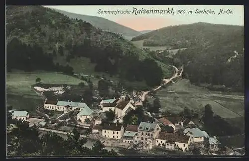 AK Raisenmarkt /N.-Oe., Ortsansicht aus der Vogelschau