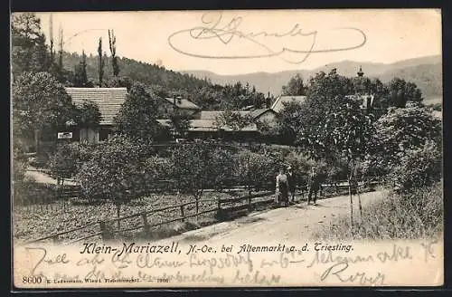 AK Klein-Mariazell /N.-Oe., Wegpartie mit drei Spaziergängern