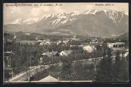 AK Reichenau, Ortsansicht gegen die Raxalpe