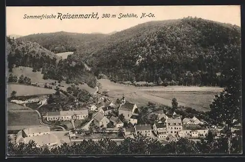 AK Raisenmarkt, Ortsansicht aus der Vogelschau