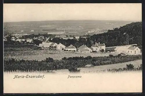 AK Maria-Enzersdorf, Panorama mit Feldern