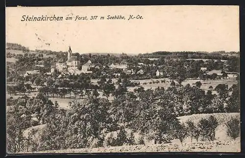 AK Steinakirchen am Forst, Ortsansicht mit Kirche