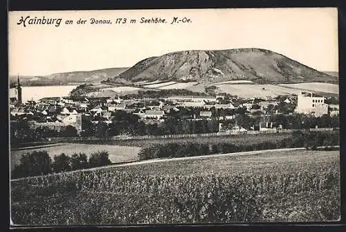 AK Hainburg an der Donau, Ortsansicht mit Berg