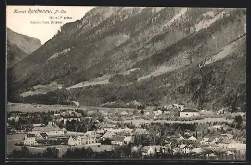 AK Reichenau, Ortsansicht mit Hotel Fischer und Sanatorium Bittner