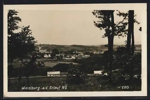 AK Wieselburg a. d. Erlauf, Ortsansicht hinter Bäumen