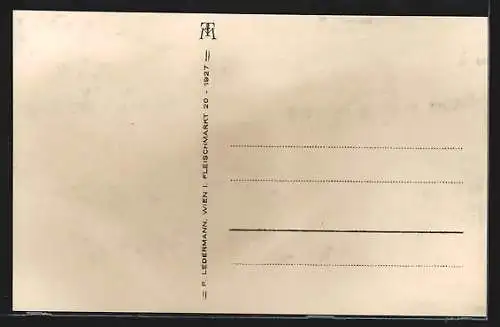 AK Vöslau, Blick auf den Ort