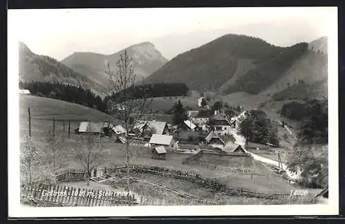 AK Mariazell, Blick über Gollrad