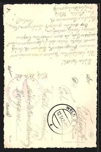 AK Wels, Bllick zum Ledererturm