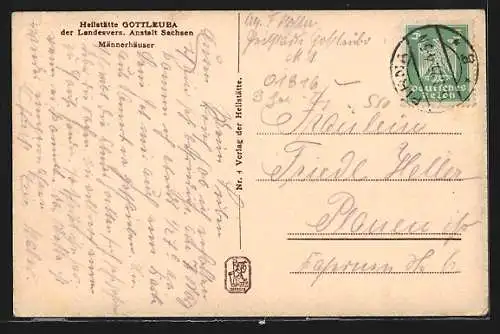 AK Gottleuba, Strassenpartie mit Karren und Pferd