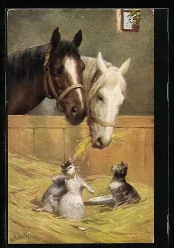AK Vier kleine Katzen mit Pferden im Stall
