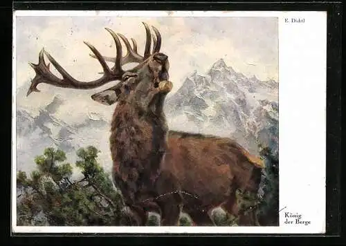 Künstler-AK Röhrender Hirsch im Gebirge, König der Berge