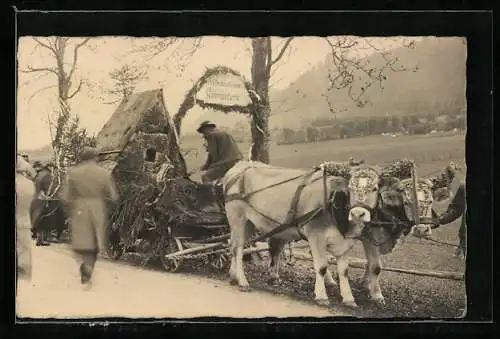 Foto-AK Köhler-Festwagen mit Ochsen-Gespann