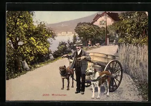 AK Mann mit einem Hundegespann als Milchkarren
