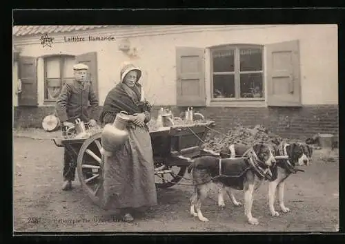 AK Laitière flamande, Milchfrau mit Hundegespann