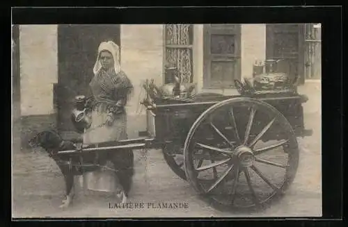 AK Laitière Flamande, Hundegespann