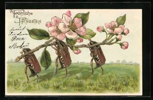 AK Fröhliche Pfingsten, Maikäfer tragen Blume auf den Schultern