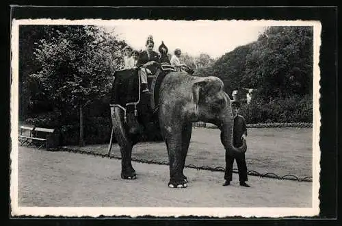 AK Antwerpen, Dierentuin, Indischer Elefant mit Wärter und kleinen Reitern