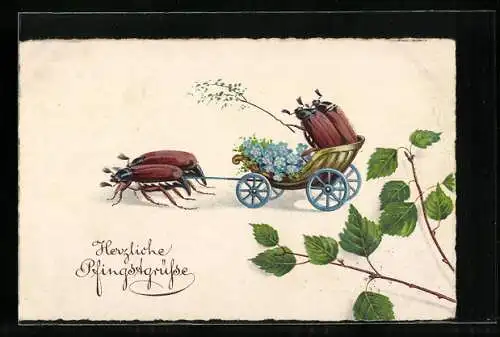 AK Maikäfer in einer Kutsche die von Maikäfern gezogen wird, Herzliche Pfingstgrüsse