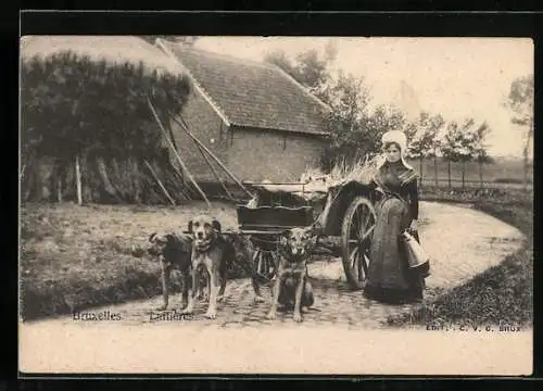 AK Bruxelles, Laitières, Milchtransport per Hundegespann