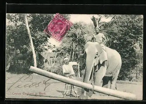 AK Ceylon, Arbeitselefant transportiert einen Baumstamm