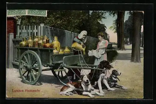AK Laitiere Flamande, Milchverkäuferinnen am Hundegespann