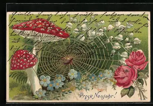 AK Spinne im Netz zwischen Pilzen und Rosen