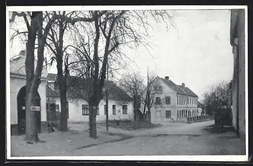 AK Wartmannstetten, Strassenpartie