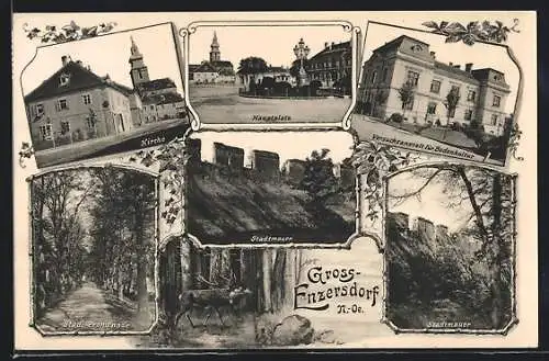 AK Gross-Enzersdorf, 6 Ansichten, Kirche, Hauptplatz, Stadtmauer, Versuchsanstalt für Bodenkultur, Hirsch