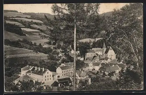 AK Edlitz, Ortsansicht mit Umgebung aus der Vogelschau