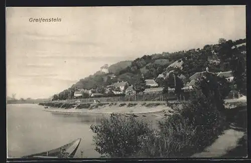 AK Greifenstein a. d. Donau, Ortsansicht mit Ruine und Ufer