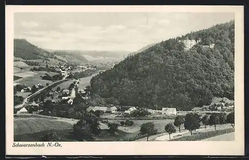 AK Schwarzenbach, Ortsansicht gegen den Wald