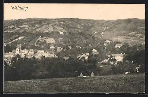 AK Weidling, Blick vom Berg auf den Ort