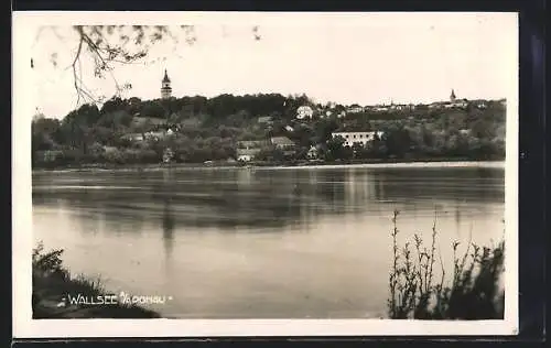 AK Wallsee a.d. Donau, Blick zum Ort vom Ufer aus