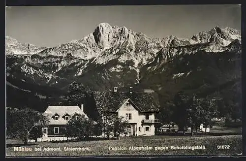 AK Admont, Mühlau, Pension Alpenheim gegen den Scheiblingstein