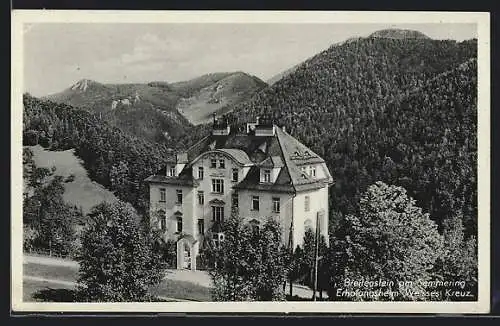 AK Breitenstein am Semmering, Das Erholungsheim Weisses Kreuz im Bergidyll