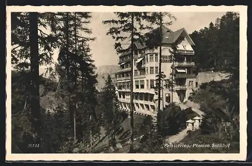 AK Semmering, Blick zur Pension Sonnhof