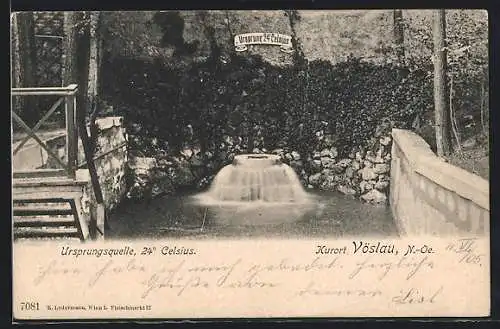 AK Vöslau, Die Ursprungsquelle