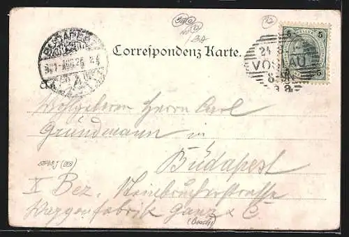 AK Vöslau, Ortsansicht