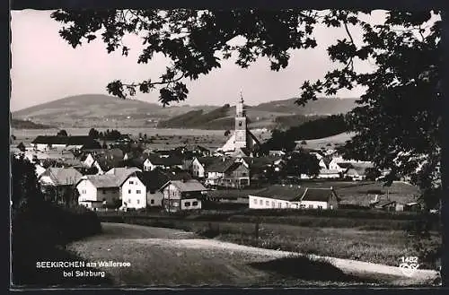 AK Seekirchen am Wallersee, Ortsansicht mit Blick ins Land