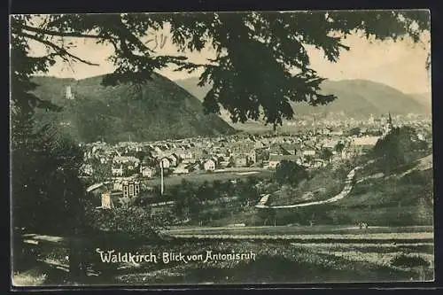 AK Waldkirch / Breisgau, Ortsansicht von Antonisruh